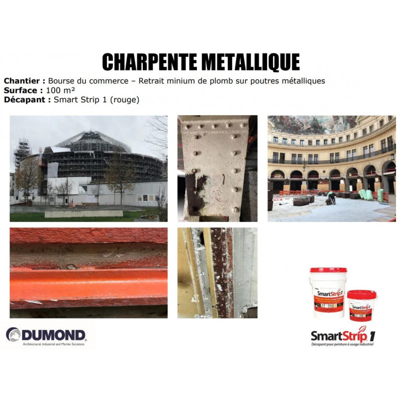 Smart Strip® 1 HD Puissant Décapant pour Peinture — free download